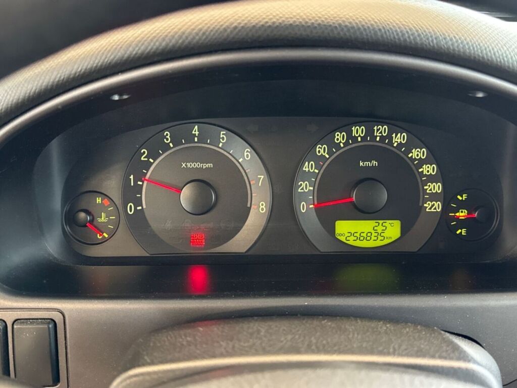 Hyundai Trajet 2005 Hopea