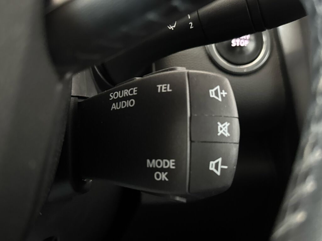 Renault Kadjar 2016 Ruskea (beige)