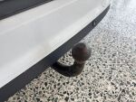 Ford Grand C-Max 2016 Valkoinen