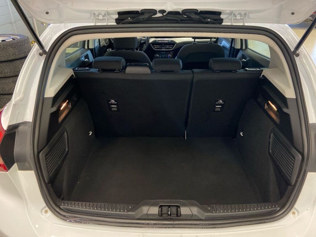 Ford Focus 2019 Valkoinen