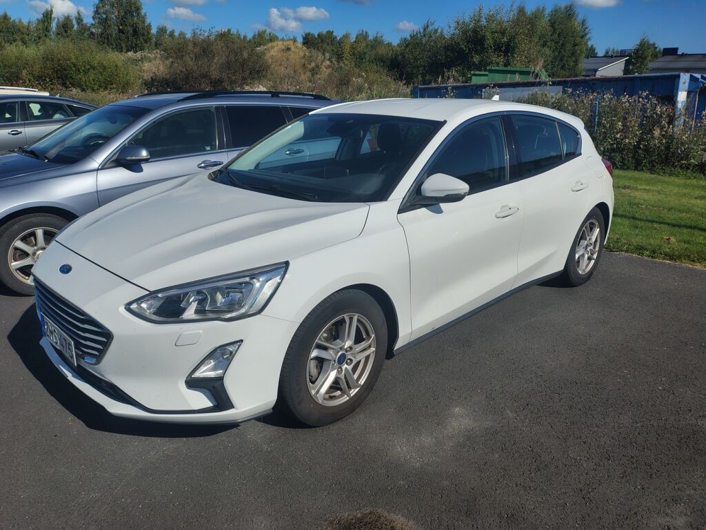 Ford Focus 2019 Valkoinen