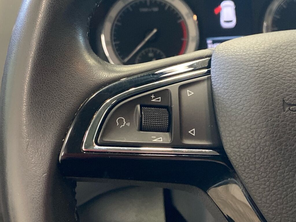 Skoda Karoq 2019 Harmaa