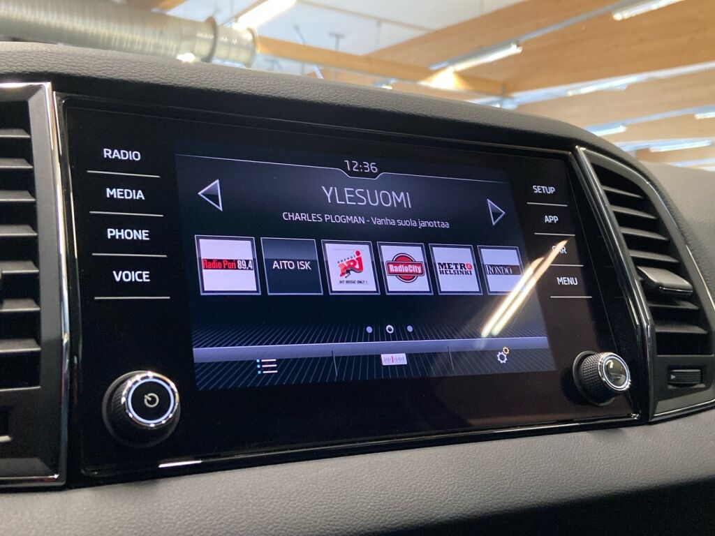 Skoda Karoq 2019 Harmaa