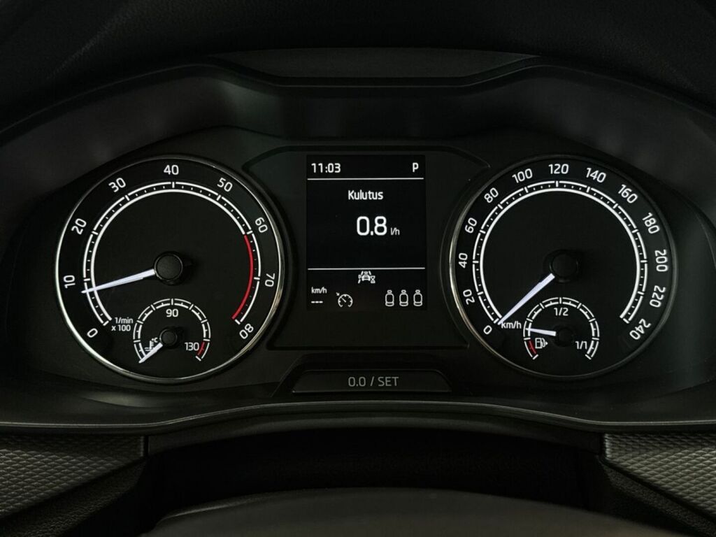 Skoda Kamiq 2020 Harmaa