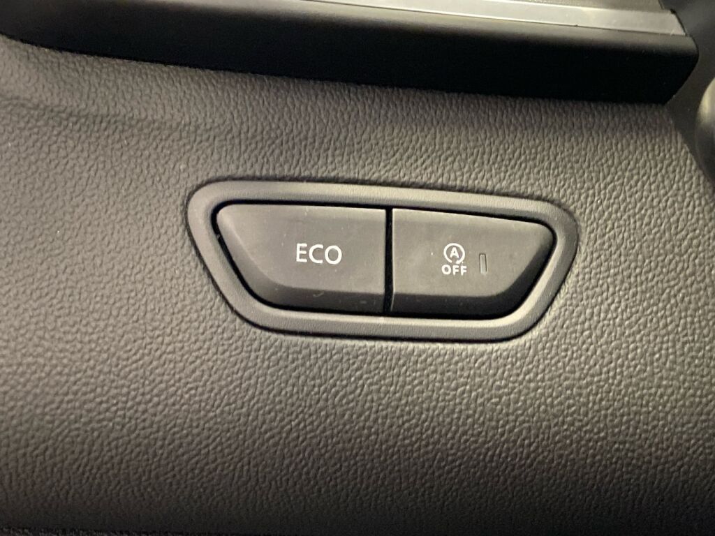 Renault Kadjar 2020 Harmaa