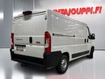 Fiat Ducato 2021 Valkoinen