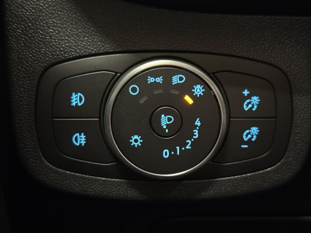 Ford Fiesta 2020 Harmaa