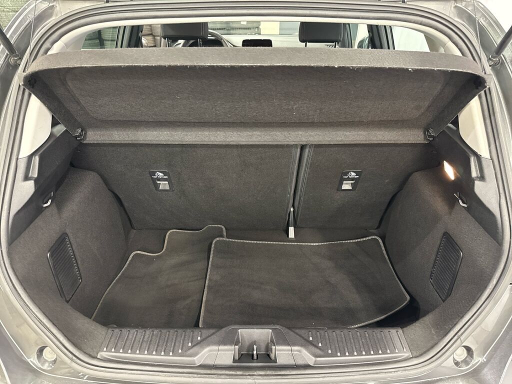 Ford Fiesta 2020 Harmaa