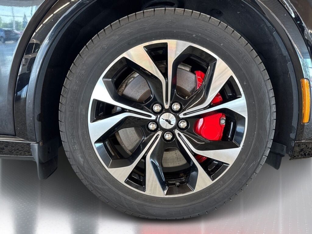 Ford Mustang Mach-E 2021 Musta