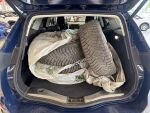 Ford Mondeo 2021 Sininen