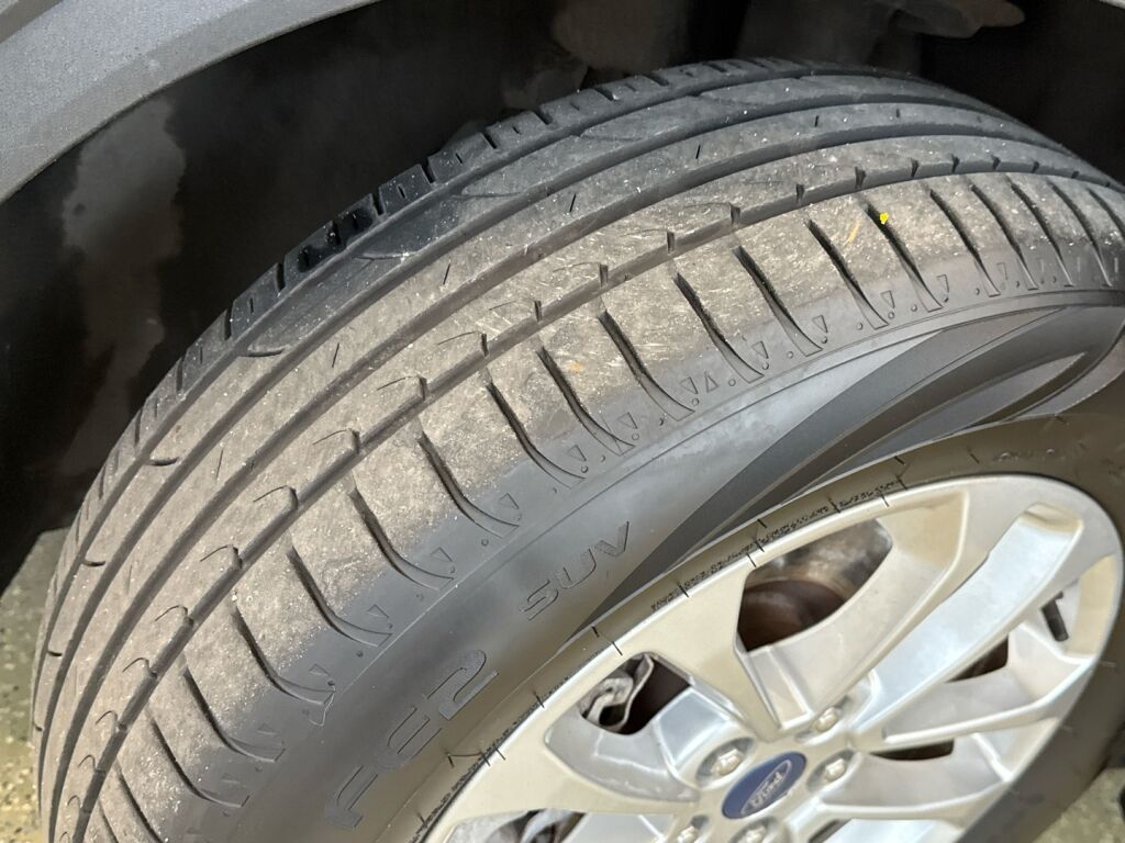 Ford Kuga 2021 Sininen