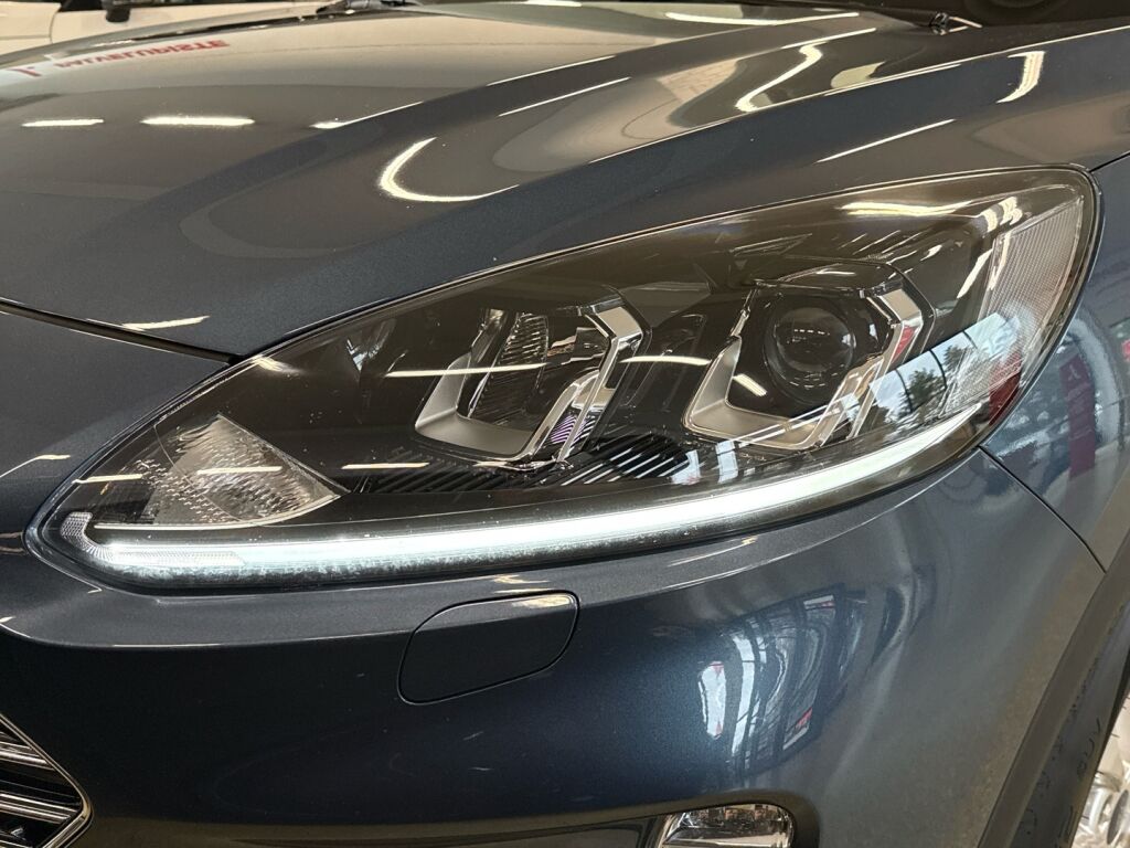 Ford Kuga 2021 Sininen