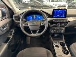 Ford Kuga 2021 Sininen
