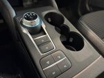 Ford Kuga 2022 Harmaa