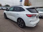 Ford Kuga 2022 Valkoinen