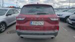 Ford Kuga 2022 Punainen