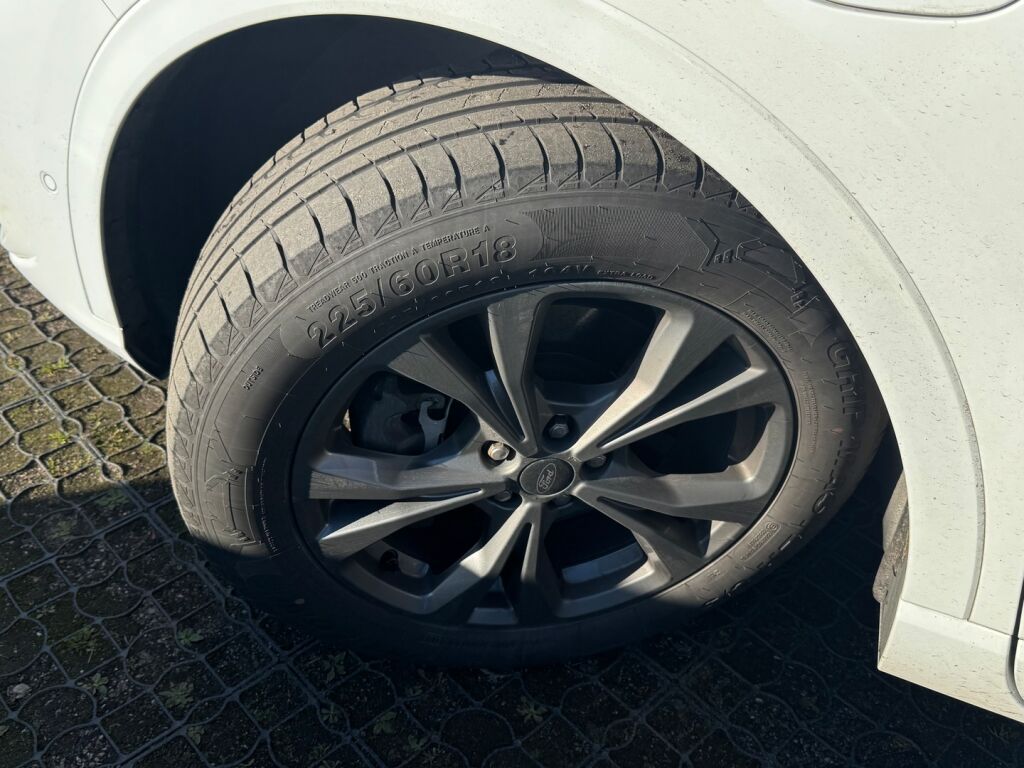 Ford Kuga 2021 Valkoinen