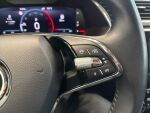 Skoda Superb 2023 Harmaa