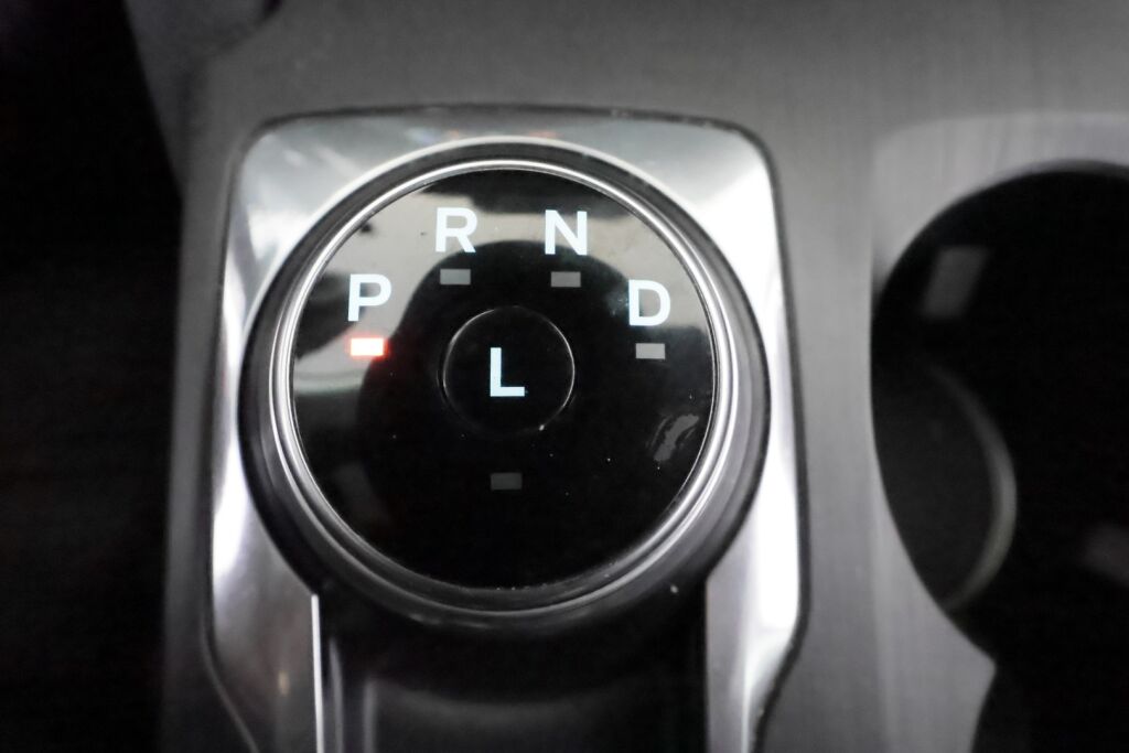 Ford Kuga 2020 Sininen