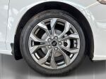 Ford Focus 2023 Frozen White