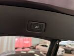 Audi Q4 e-tron 2023 Vihreä