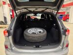 Ford Kuga 2023 Harmaa