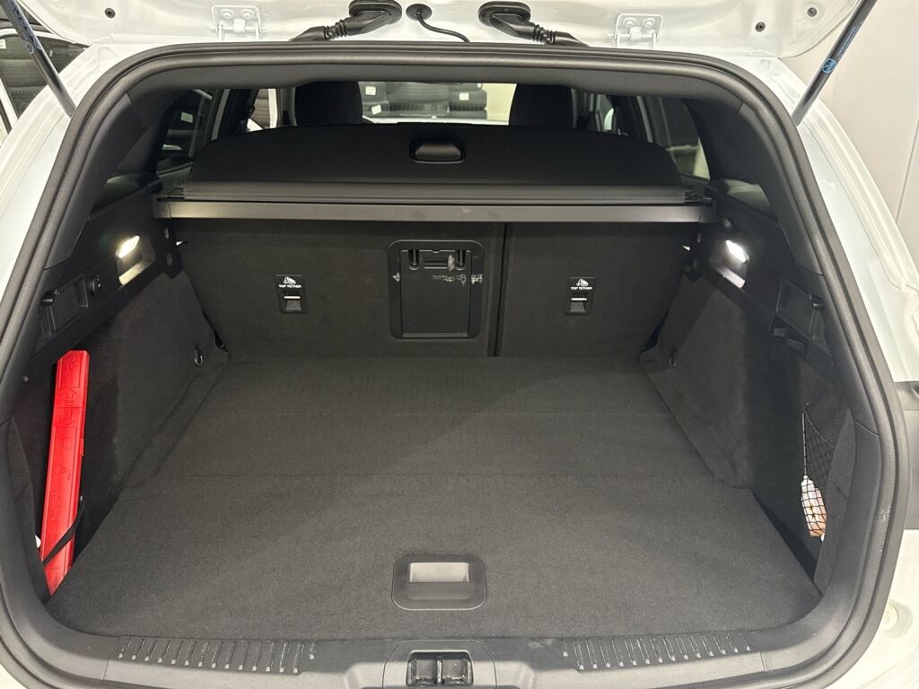 Ford Focus 2023 Valkoinen