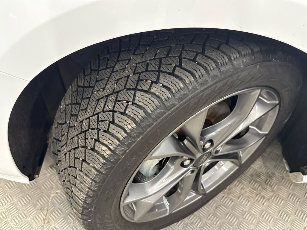 Ford Focus 2023 Valkoinen