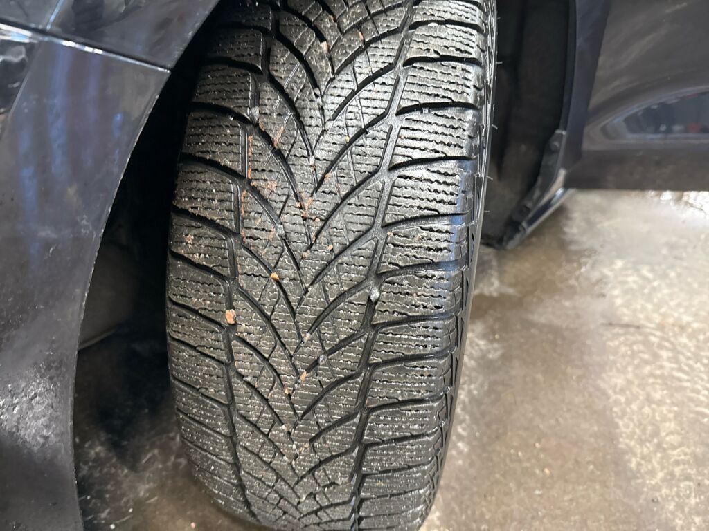 Ford Focus 2023 Musta