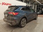 Ford Kuga 2021 Sininen