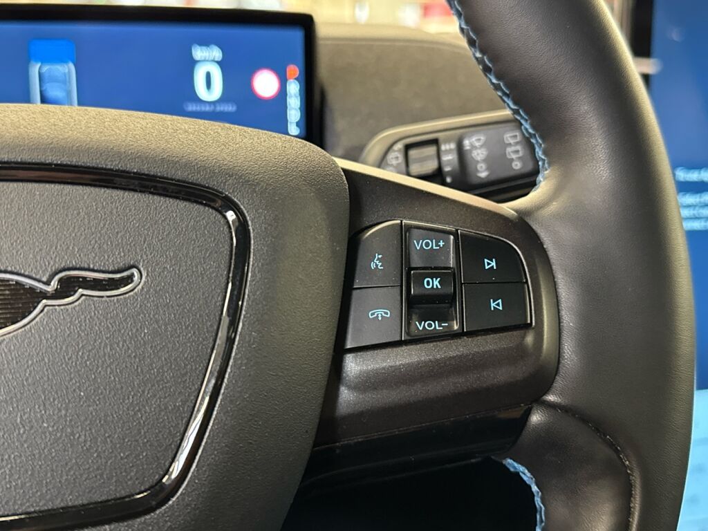 Ford Mustang 2021 Sininen