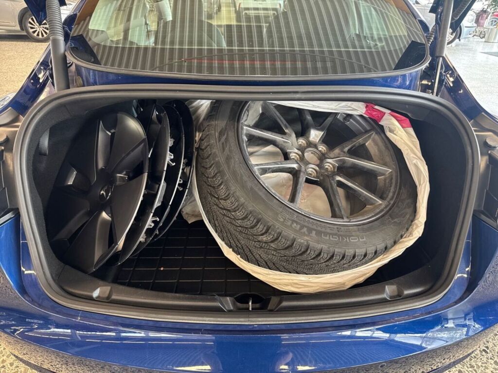 Tesla Model 3 2021 Sininen