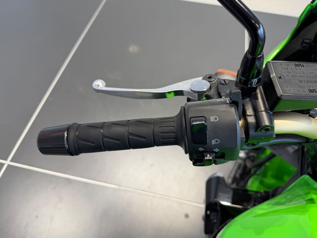 Kawasaki ZRX 2007 Vihreä